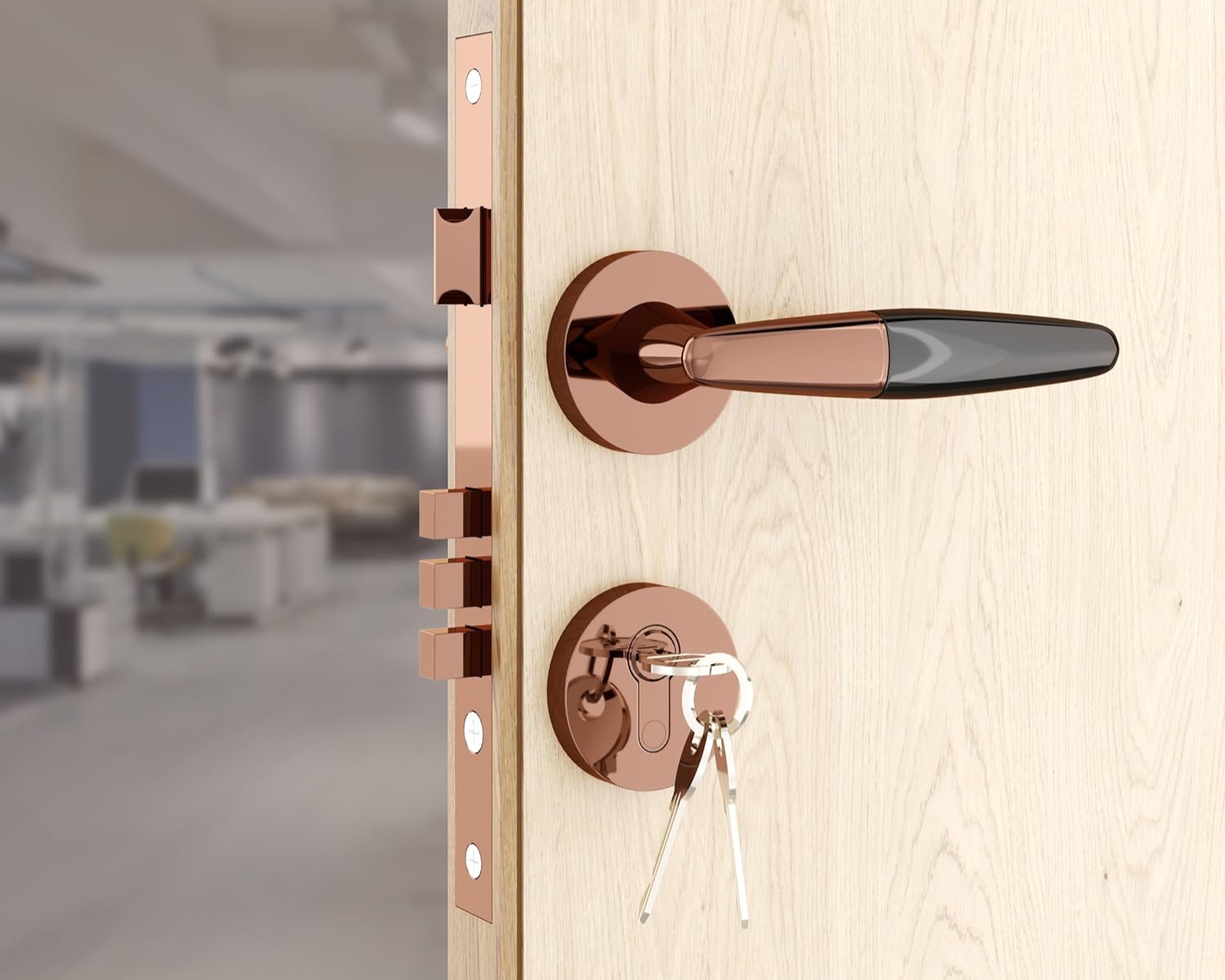 Premium door fitting close-up